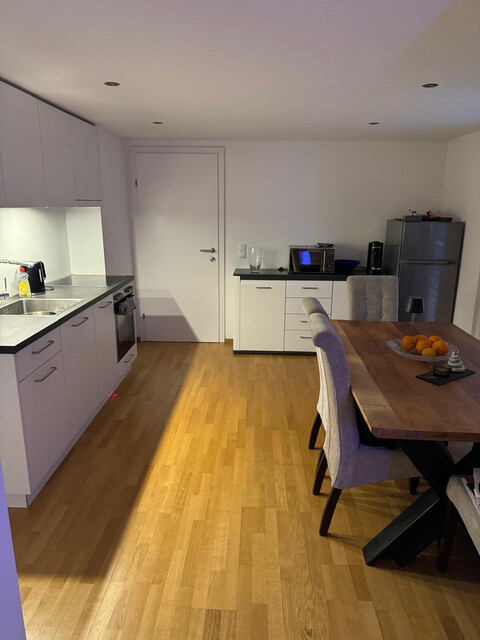 Renovierte Gartenwohnung mit Sonnenterrasse an Dornbirner Ache (WG-geeignet, Haustiere erlaubt)