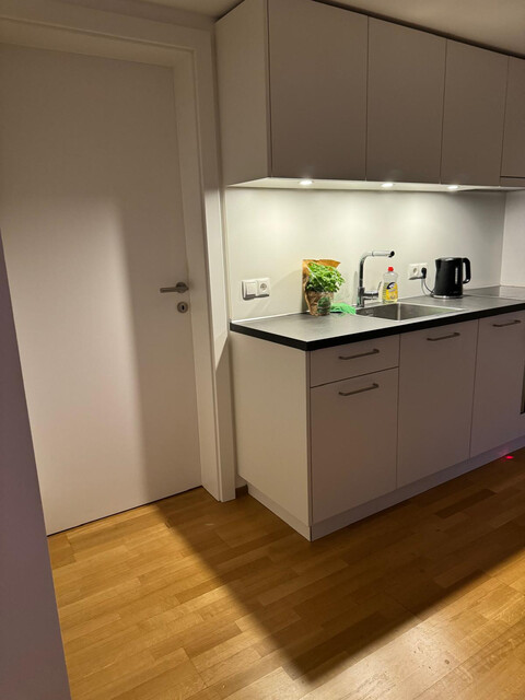 Renovierte Gartenwohnung mit Sonnenterrasse an Dornbirner Ache (WG-geeignet, Haustiere erlaubt)