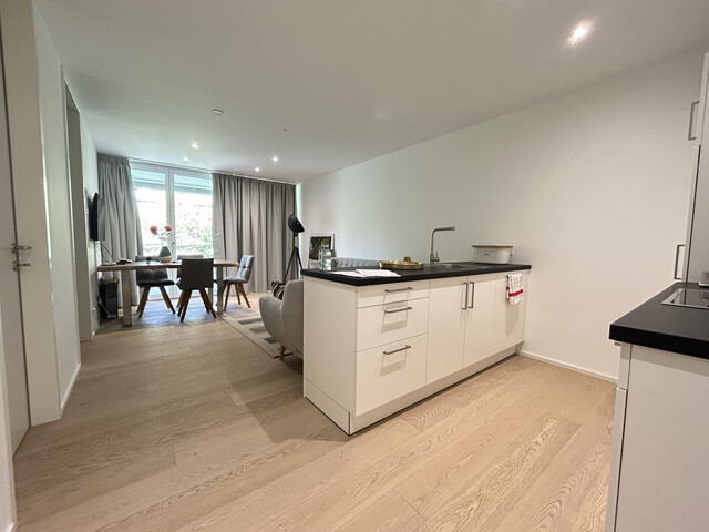 2-Zimmer-Wohnung  |  Neubau  |  Modern  |  Balkon