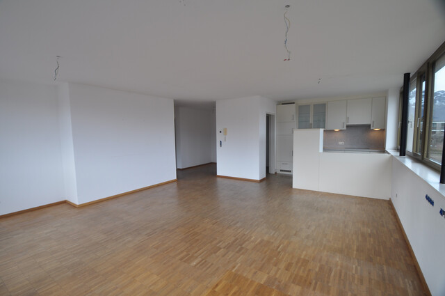 Großzügige 3-Zimmer-Wohnung in Gisingen (W1)