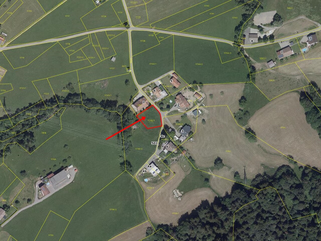 Wunderschönes Grundstück am Waldrand in prominenter Dornbirner Lage