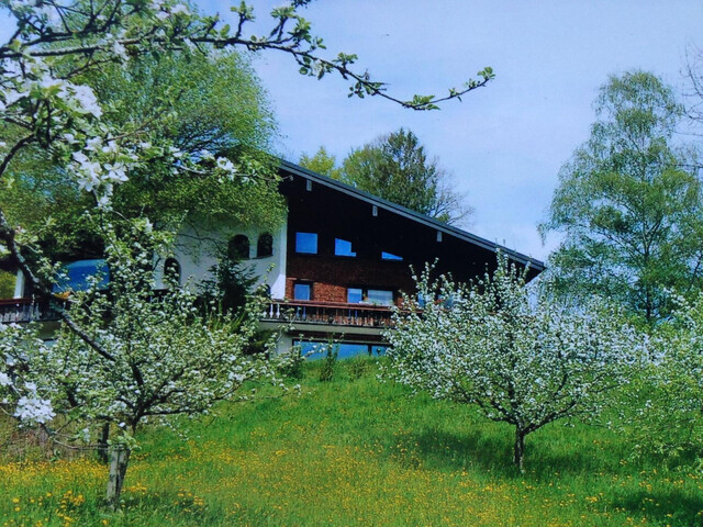 Beeindruckendes Einfamilienhaus in Alleinlage mit Ausblick - Ortsnah im Mittelbregenzerwald