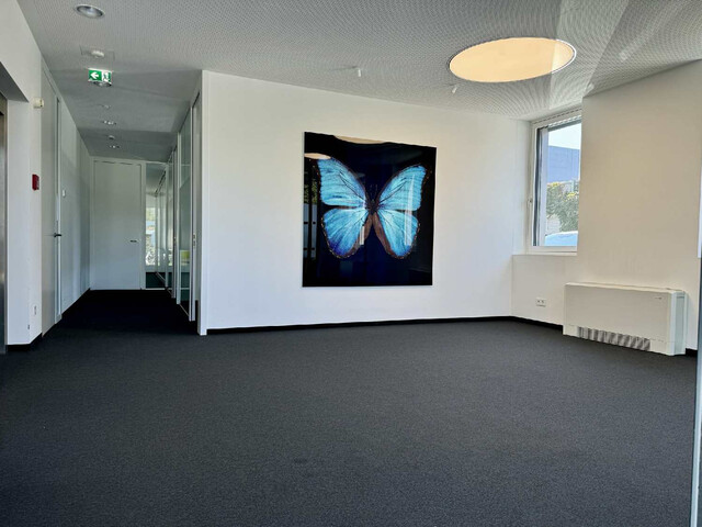 Attraktive Büro- und Ordinationsfläche