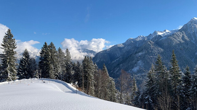 Grundstück für ein Ferienhaus im Schi- und Wandergebiet