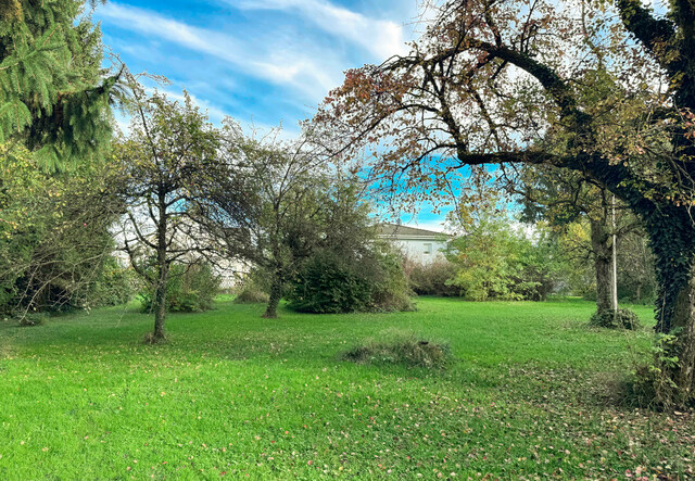 Attraktives Baugrundstück für Ihr
Traumhaus in Fussach