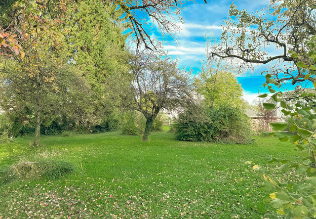 Attraktives Baugrundstück für Ihr
Traumhaus in Fussach