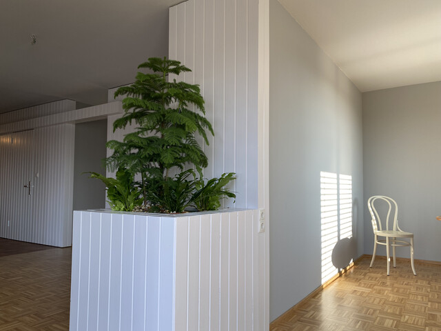 Sonnige Stadtwohnung mit Seesicht und grosser Terrasse, ruhig und zentral