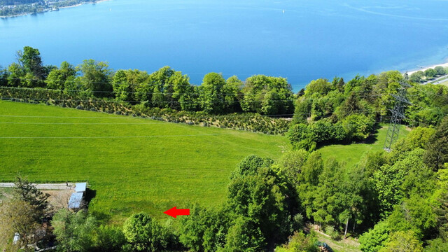 Idyllisches Grundstück mit Bodenseeblick - Pfänderhang!