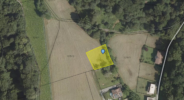 Idyllisches Grundstück mit Bodenseeblick - Pfänderhang!