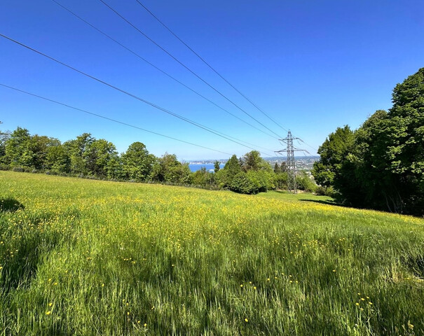 Idyllisches Grundstück mit Bodenseeblick - Pfänderhang!