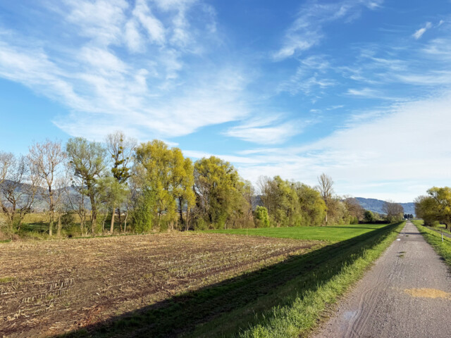 Baugrundstücke in Koblach