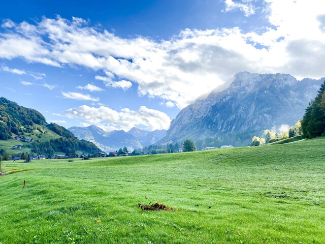 Gartenwohnung mit großer Terrasse, Garten & Garage!