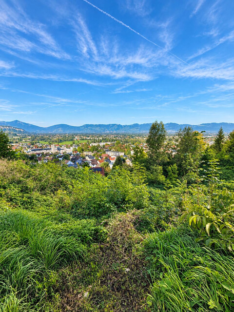 Attraktives Baugrundstück in erhöhter Lage mit Blick übers Rheintal!