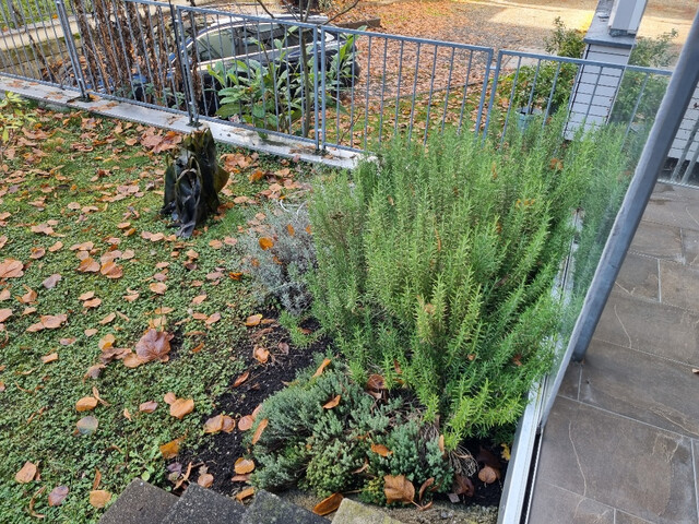 GARTENWOHNUNG MITTEN IN DER STADT