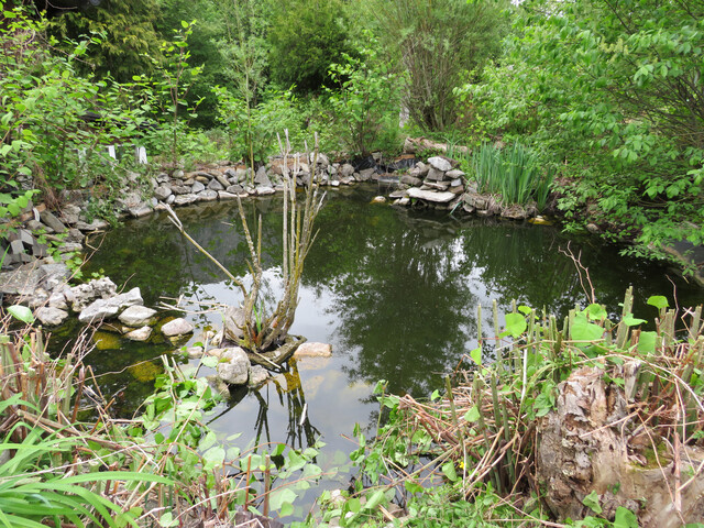 Idyllisches Wohnhaus  mit  Teich und großem  Garten (provisionsfrei)!