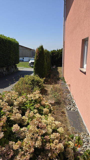 ❤️ Bei Interesse handle sofort.  Ein echtes Zuhause zum Verlieben – Familienglück in Hohenweiler,  Privatverkauf
