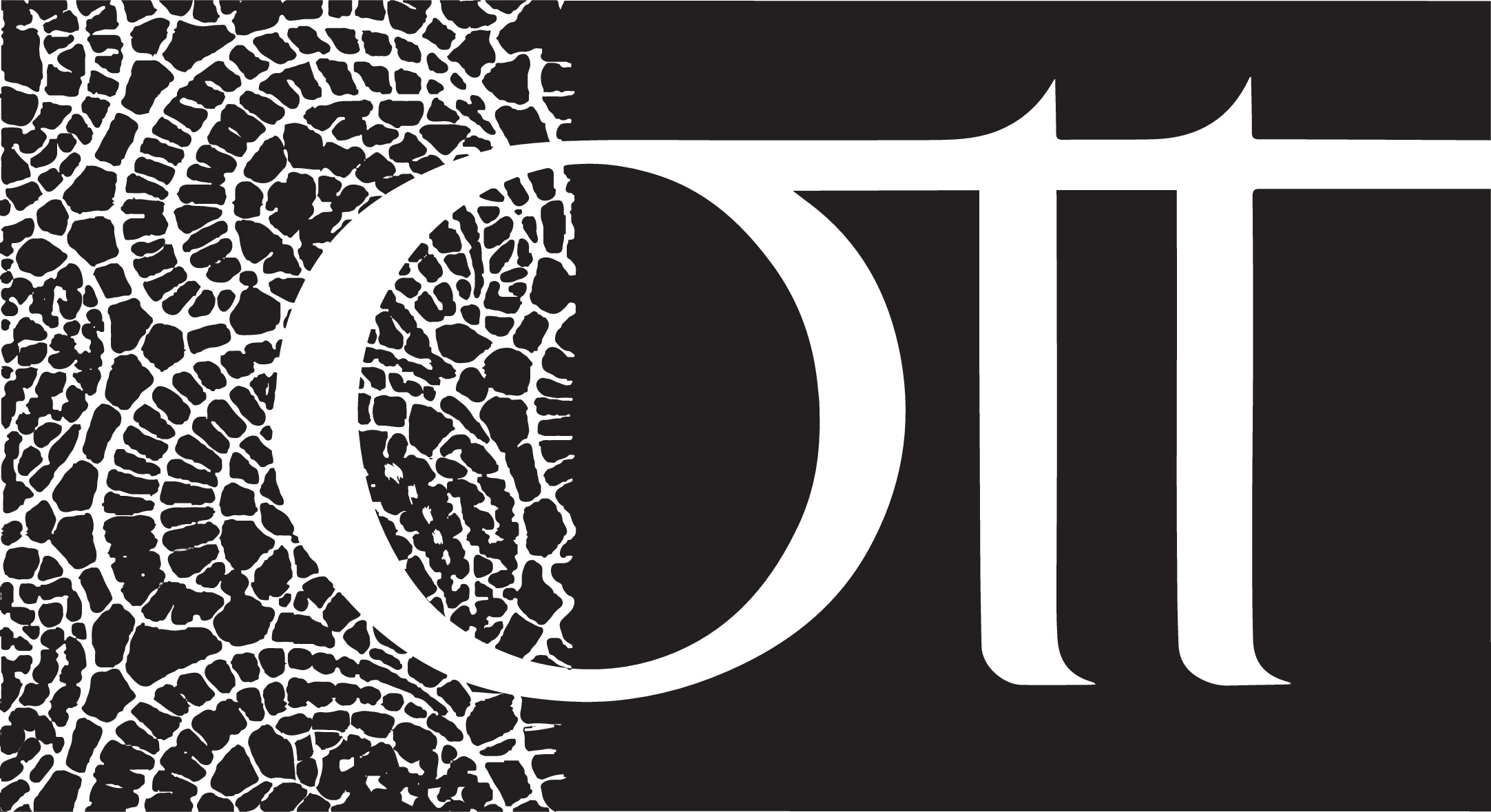 Julius Ott GmbH